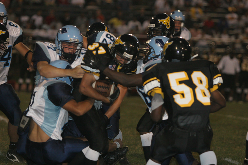 Picture 051